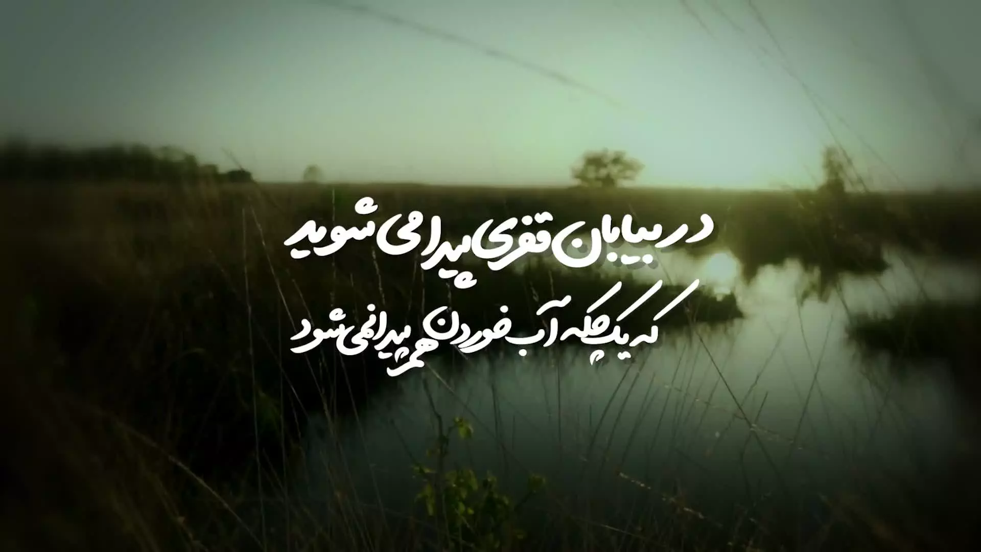 «یا صاحب الزمان، ادرکنی» خدا مارا رها نمی کند...