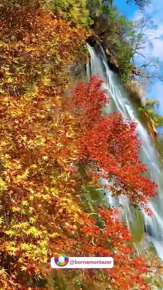 سوییس؟! نه ممنون خودمون قشنگ‌ترش رو داریم😎