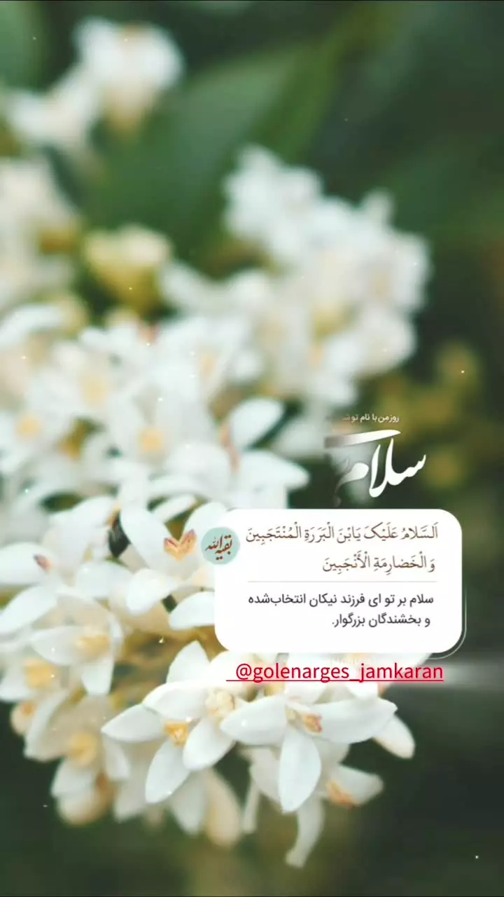 سلام بر تو ای فرزند بخشندگان بزرگوار ...