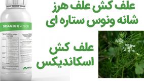خرید اینترنتی سم علف کش اسکاندیکس براعلف هرز شانه ونوس ستاره ای مزارع عدس