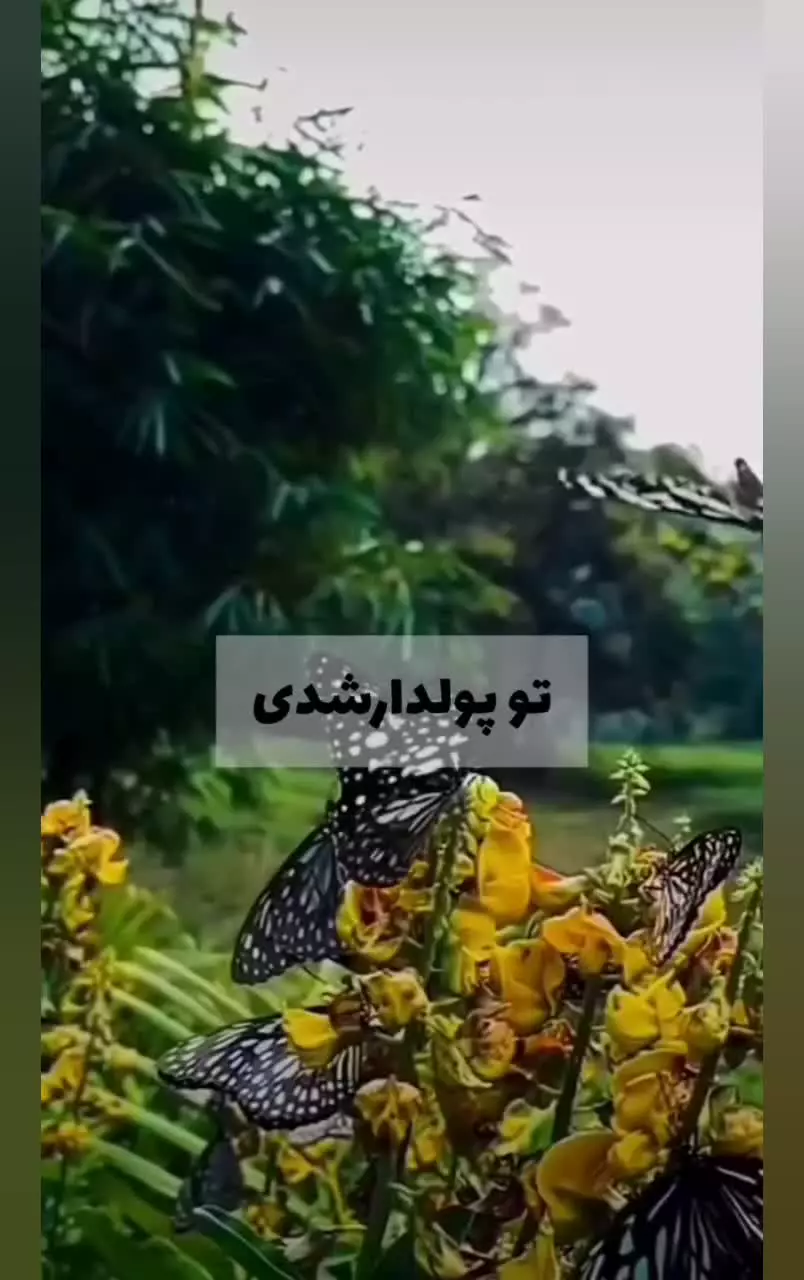 ۴ ذکری که طوفان میکنه😊👌