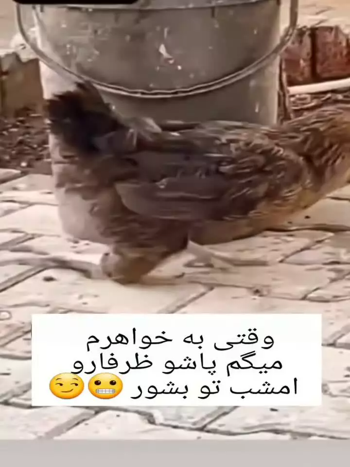 خواهر