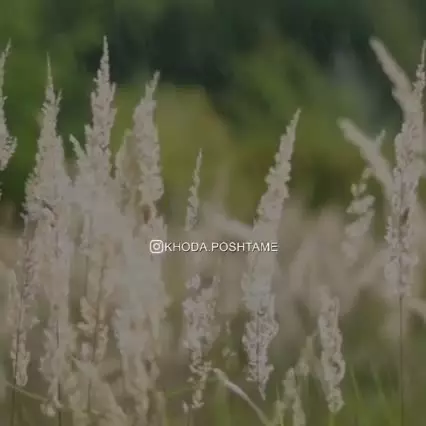 کلید حل مشکلات...  🎙 حجت الاسلام دارستانی
