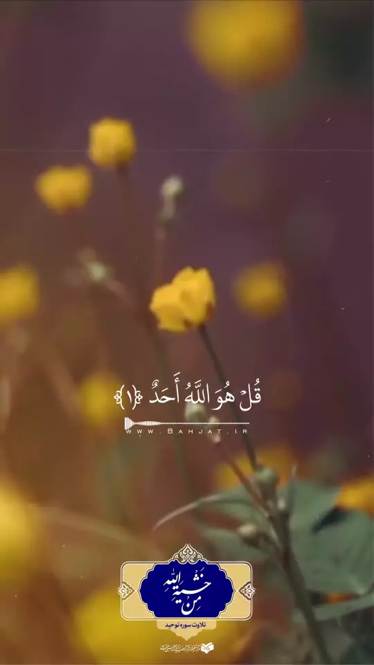 🔊 تلاوت سوره توحید توسط حضرت آیت‌الله بهجت قدس‌سره