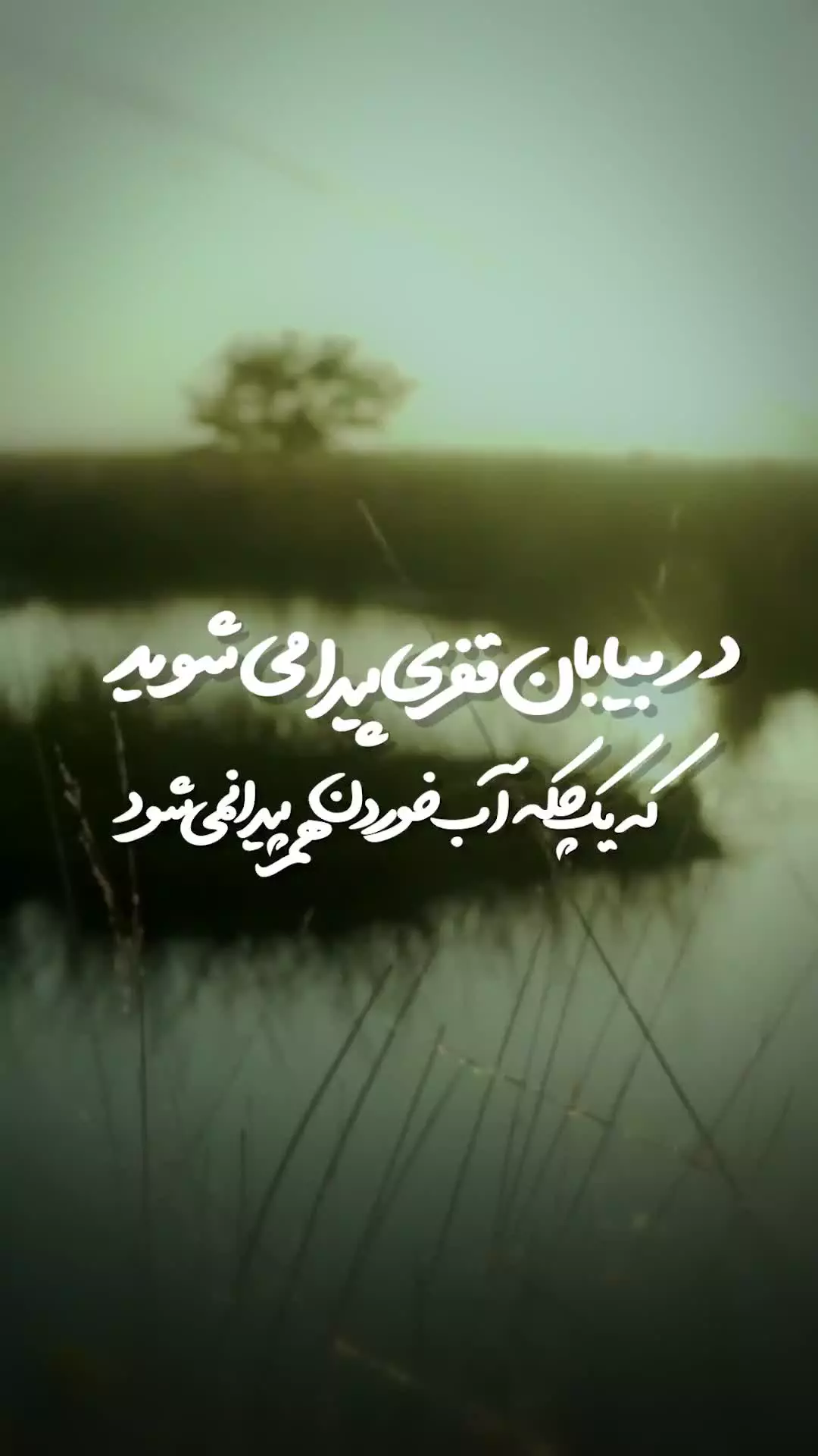 اگر هنگام مشکلات، صادقانه بگوییم «یا صاحب الزمان، ادرکنی» پاسخ ما را می‌دهند؛
