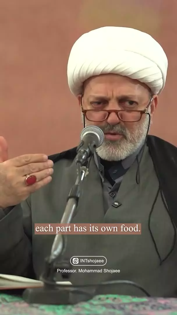 غذاهای ماه مبارک رمضان چی باید باشه!