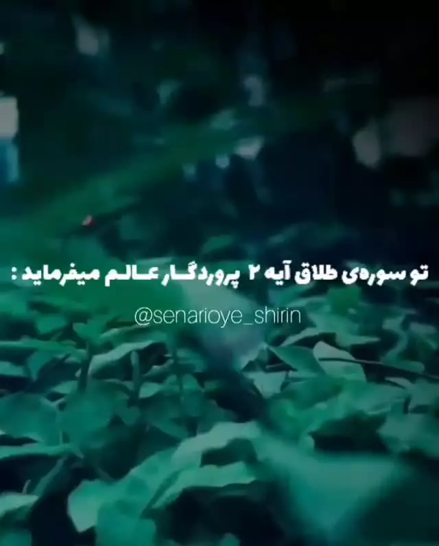 ☝️آیه ای برای کل زندگی ...