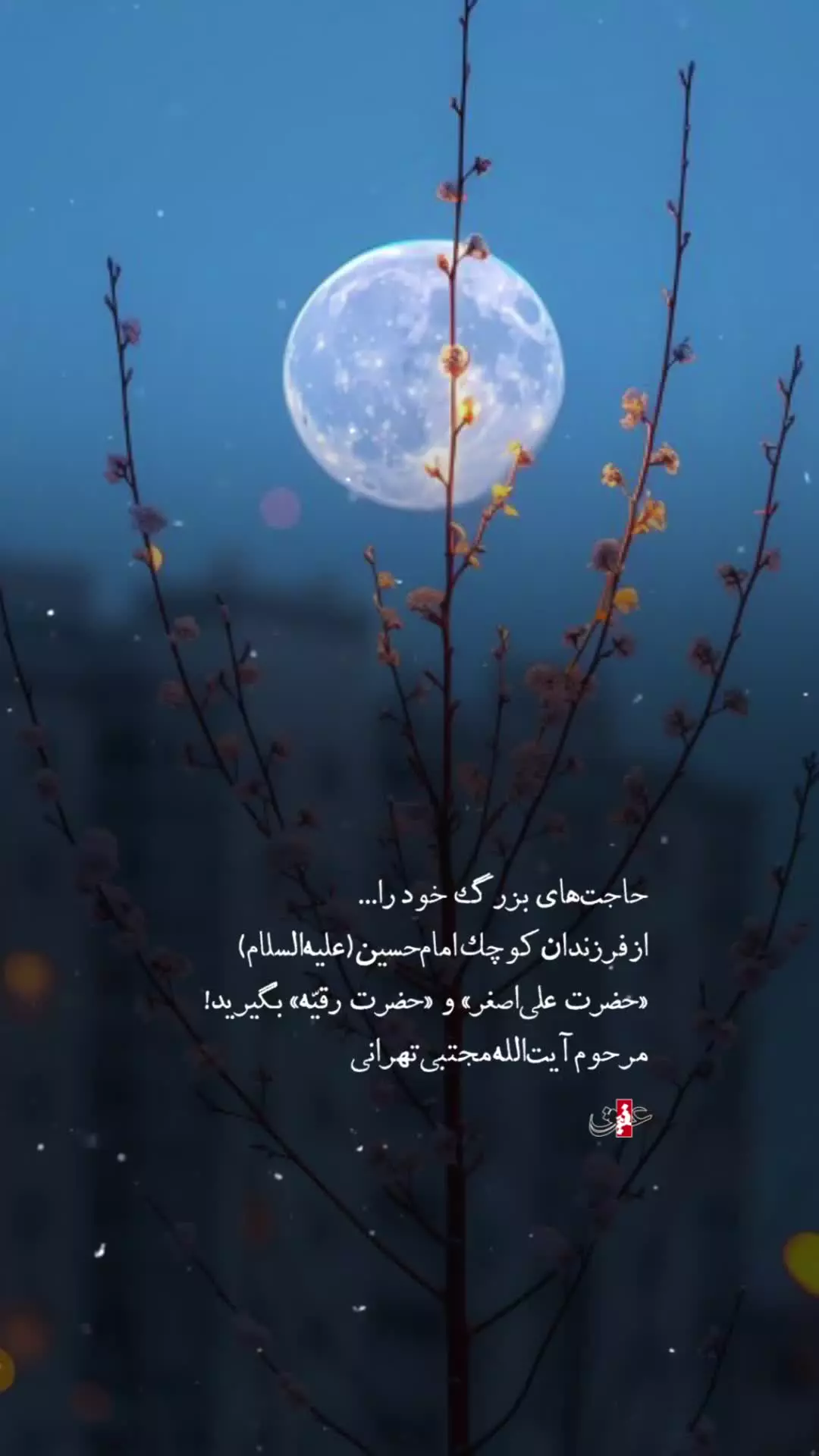حاجت‌های بزرگ خود را... از فرزندان کوچک امام‌حسین(علیه‌السلام)