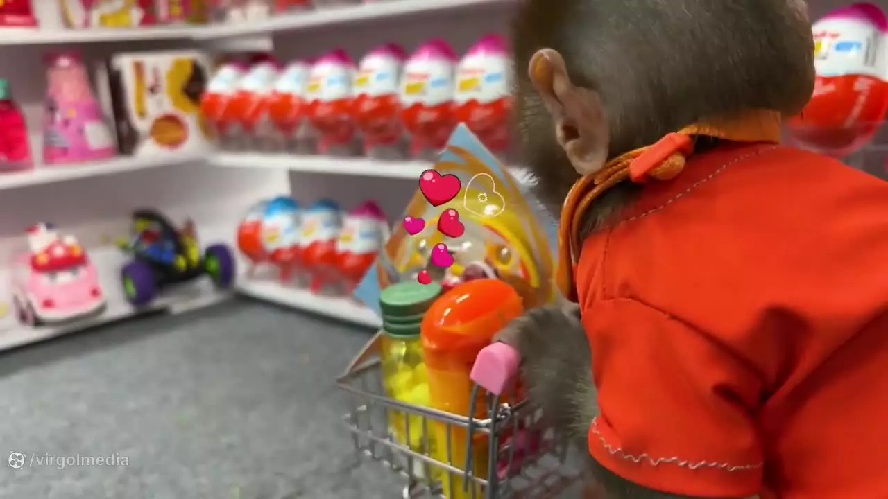 کارتون میمون : بچه میمون : میمون بازیگوش : میمون خنده دار : میمون بازیگوش