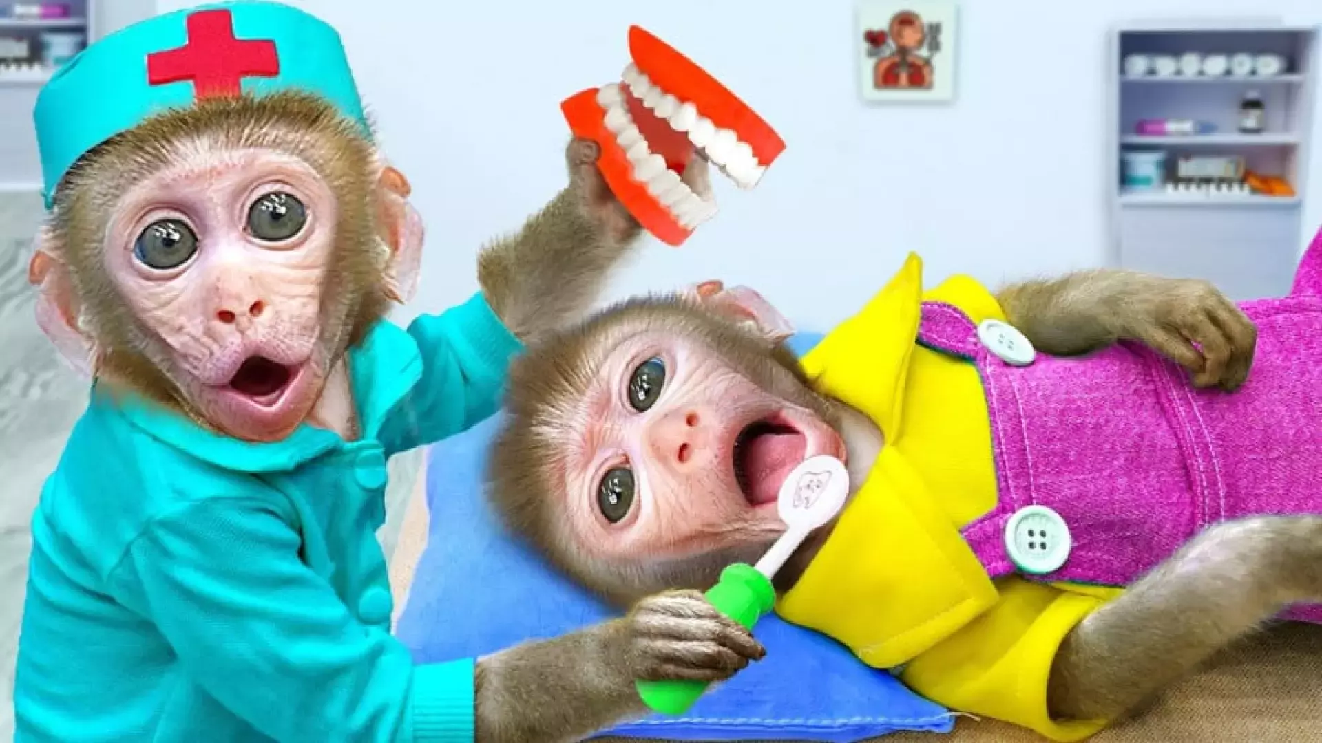 ماجراهای بچه میمون :: میمون بازیگوش :: سرگرمی کودک :: کارتون میمون