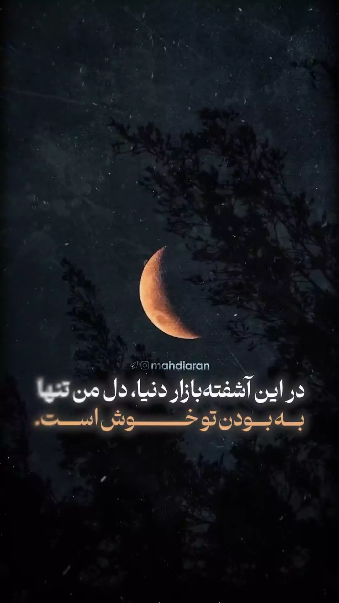 در این آشفته‌بازار دنیا، دل من تنها به بودن تو خوش است.
