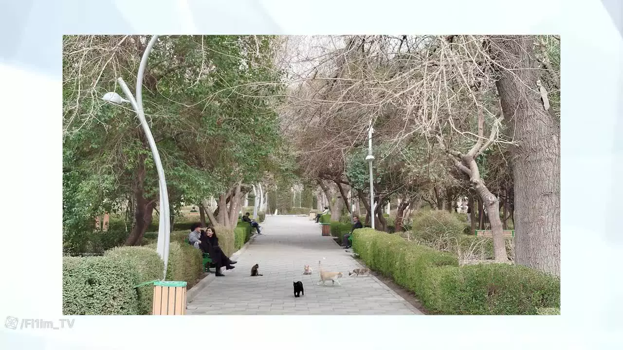 Redmi Note 13 4G Review | بررسی گوشی ردمی نوت ۱۳ | موبونیوز