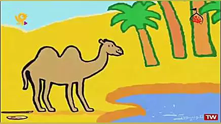 کارتون لویی این قسمت کوالا - کارتون جدید