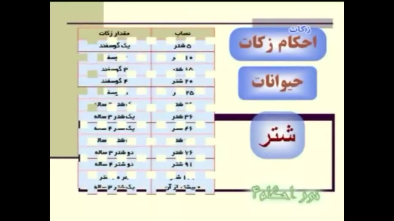 آموزش تصویری زکات: احکام شرعی را به سادگی یاد بگیرید!