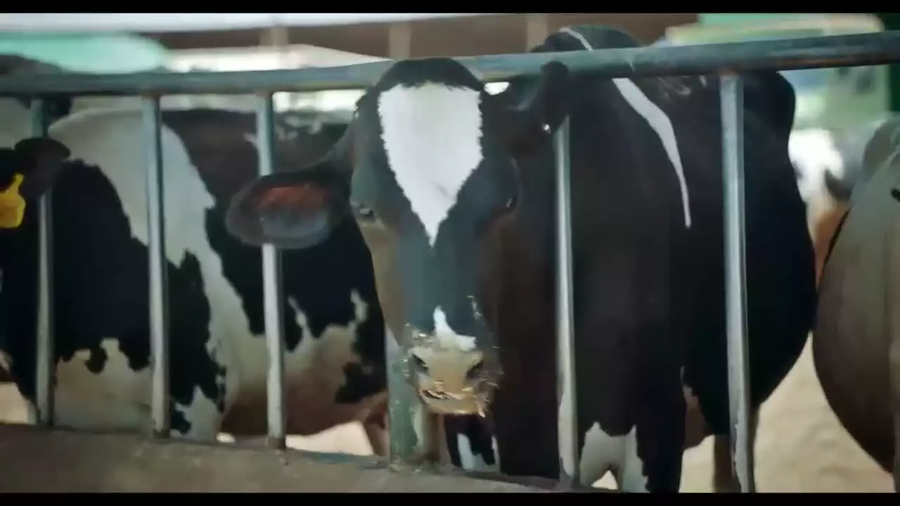 سریال شاد کودکانه فوفو مسافری از کامادو