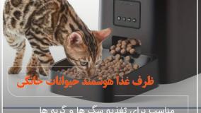 ظرف غذای هوشمند حیوانات خانگی