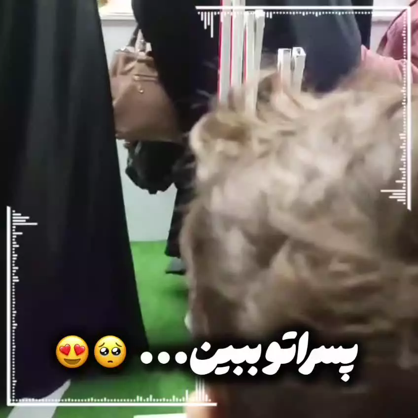 یکی ازبهترین لحظات گل نرگسی ها