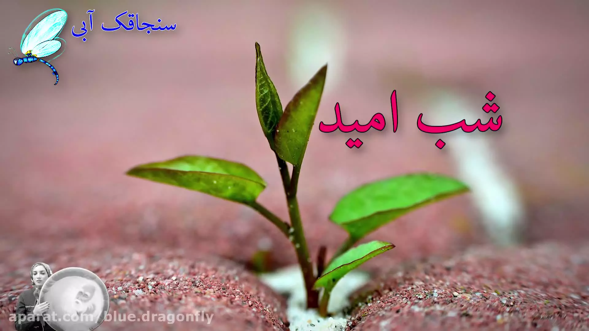 کلیپ شب قدر - دعای شب قدر - مناجات شب احیا - نیایش ماه رمضان