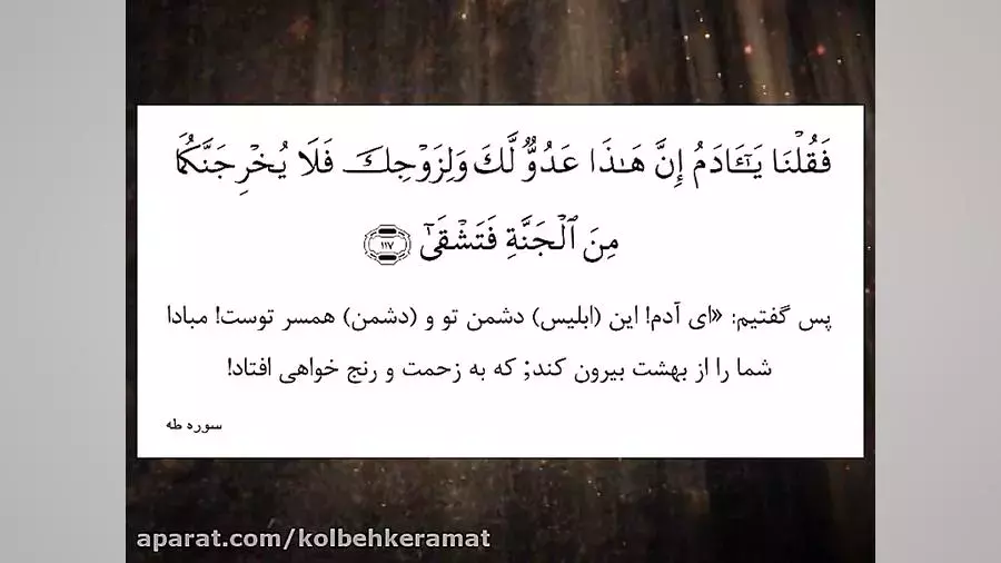 جلسه69- جامعه سعیده