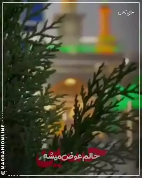 سال‌ام عوض می‌شه  فقط با اسمت حسین جان حالم عوض می‌شه