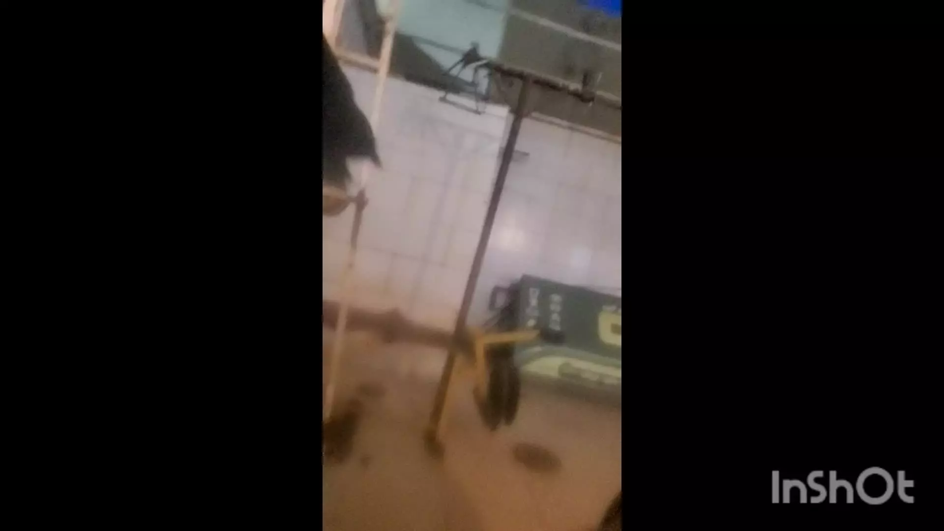 رسوم سال نو