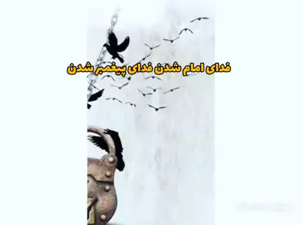 ما برتریم یا اصحاب پیامبر(ص)