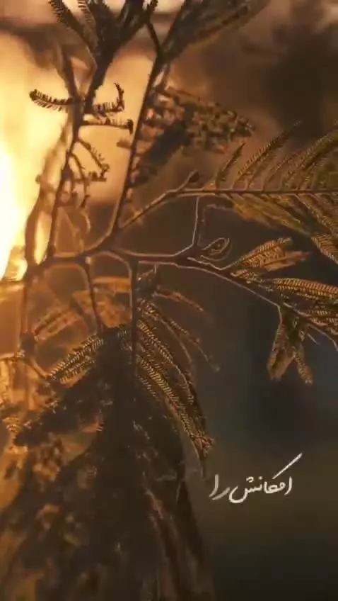 با حال خوب و در خلوت ببینید...