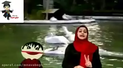 آشنایی با دنیای پرندگان برای کودکان پیش دبستانی