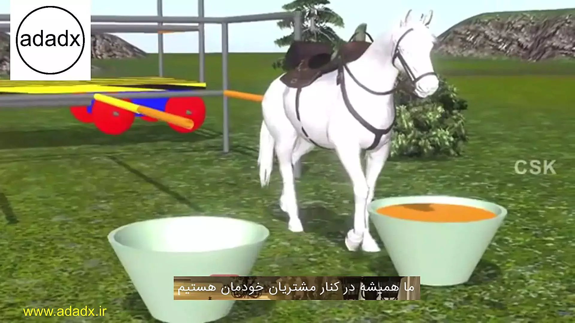 رنگ‌ها را با کمک اسب‌ها بشناسید!