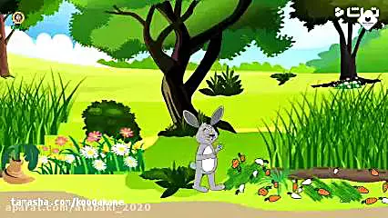 قصه‌های شبانه: سفر به دنیای خیال و خواب