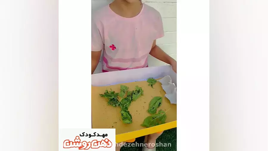 آموزش مفاهیم علوم وپرورش خلاقیت کودکان