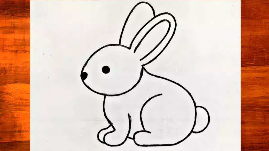 نقاشی فانتزی خرگوش: هنر آسان و کیوت برای همه