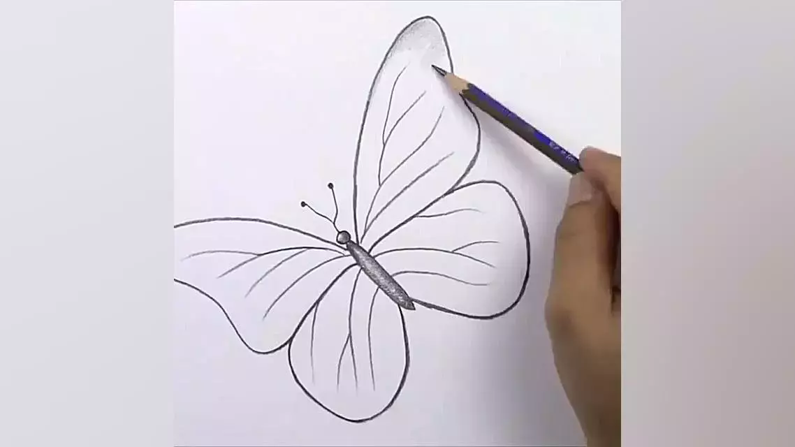 چگونه یک پروانه زیبا را نقاشی کنیم؟ راهنمای کامل برای هنرمندان مبتدی