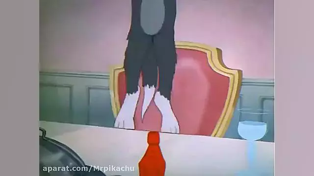 تام و جری: ماجراهای جدید موش و گربه!