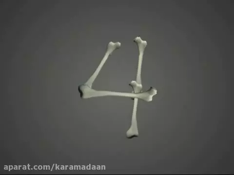 آموزش عملکرد قلب: چگونه می‌تپد و ما را زنده نگه می‌دارد؟