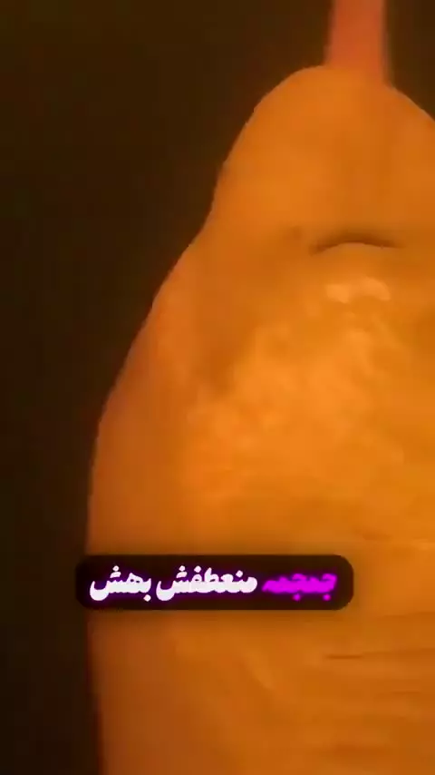 کلیپ