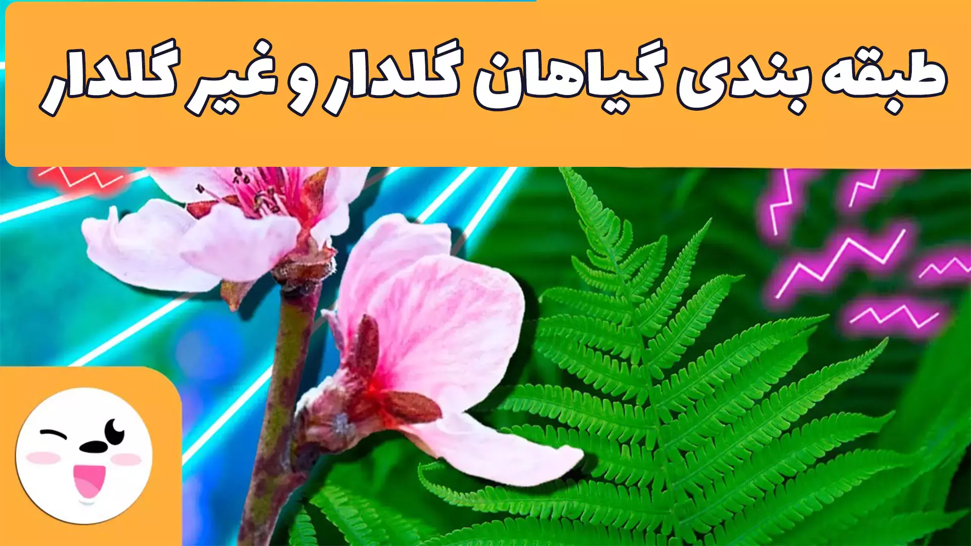 آیا می‌دانید گیاهان چگونه بر اساس گل‌هایشان دسته‌بندی می‌شوند؟