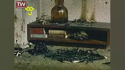 پت و مت: کارتون محبوب را همین حالا دانلود کنید!