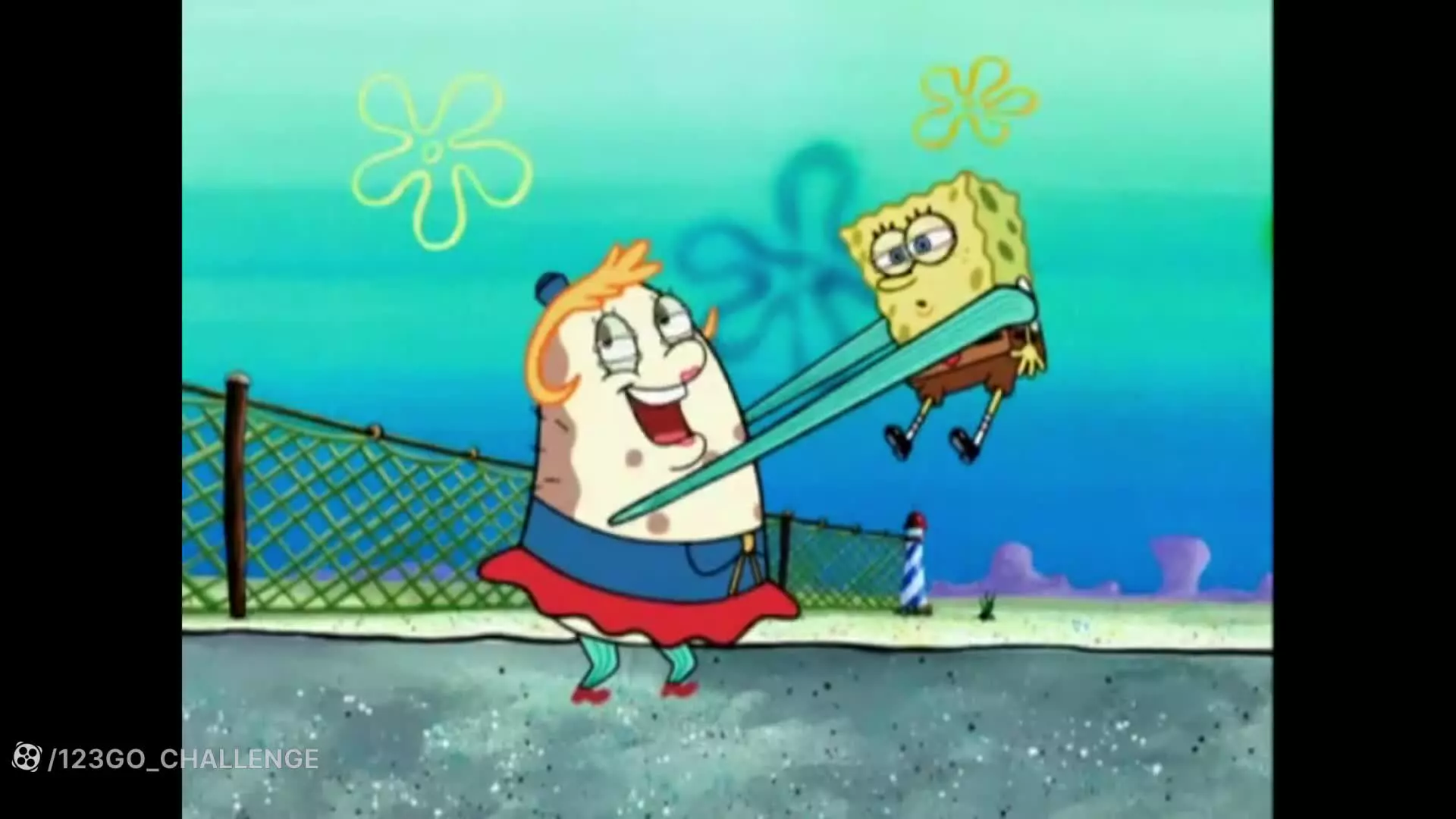 باب پاتریک و گربه دریایی مرموز - انیمیشن باب اسفنجی - bobsponge
