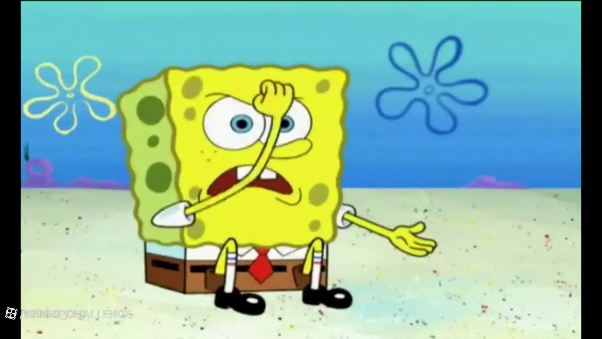 باب اسفنجی دوبله فارسی - برنامه کودک باب اسفنجی - انیمیشن باب اسفنجی - bobsponge
