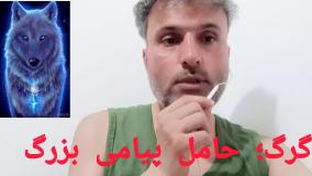 گرگ؛ حامل پیامی بزرگ