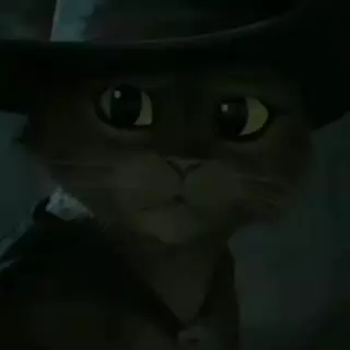ناراحتی انیمیشن ها