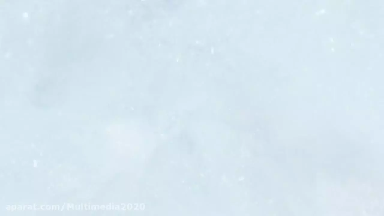 تو ییرلی ووها-دانلود مجموعه توییرلی ووها