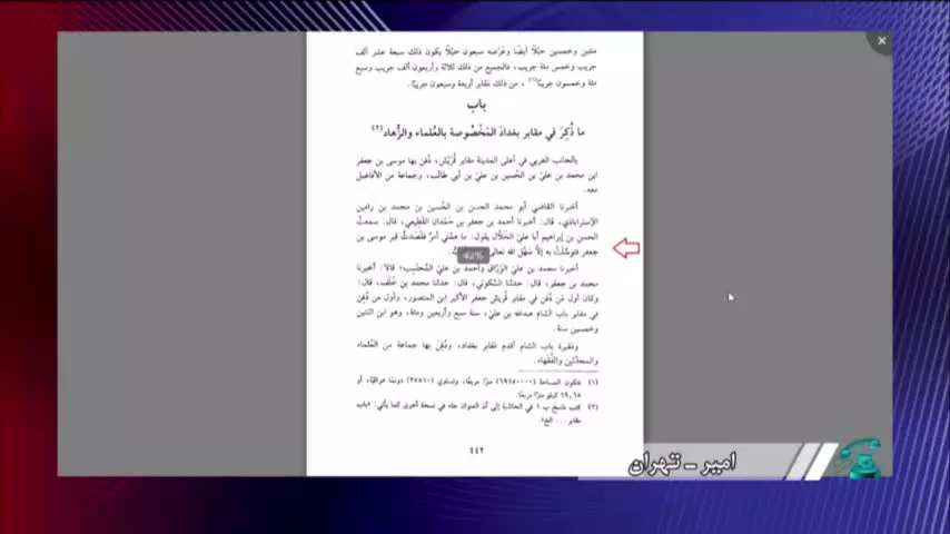 يک روايت ناب از کتب اهل سنت ( توسل عالم سني به امام رضا عليه السلام در مشکلات )