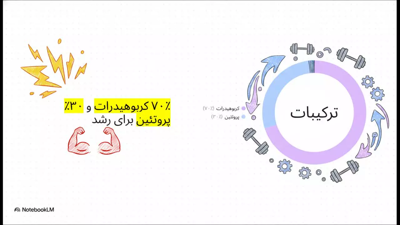 معرفی مکمل مس گینر 30-70 و تاثیر آن روی افزایش حجم عضلات | پارسی پودر