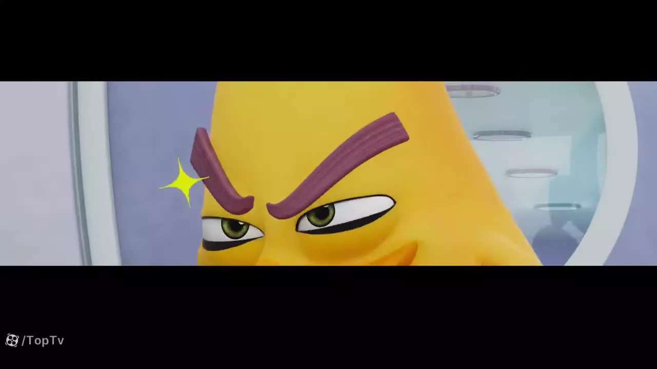 کارتون جدید انگری بردز : Angry Birds : انیمیشن پرندگان خشمگین