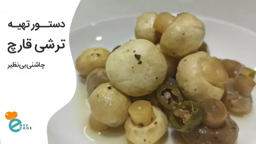 آموزش آشپزی آسان بهترین چاشنی غذا - ترشی قارچ